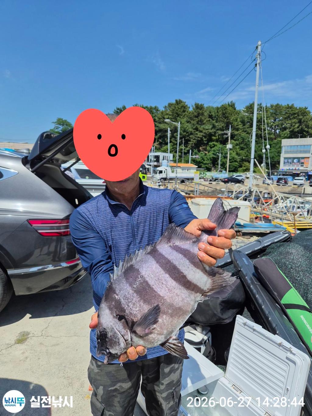 낚시뚜,돌돔,감성돔,참돔,녹동항,실전낚시,낚시뚜0
