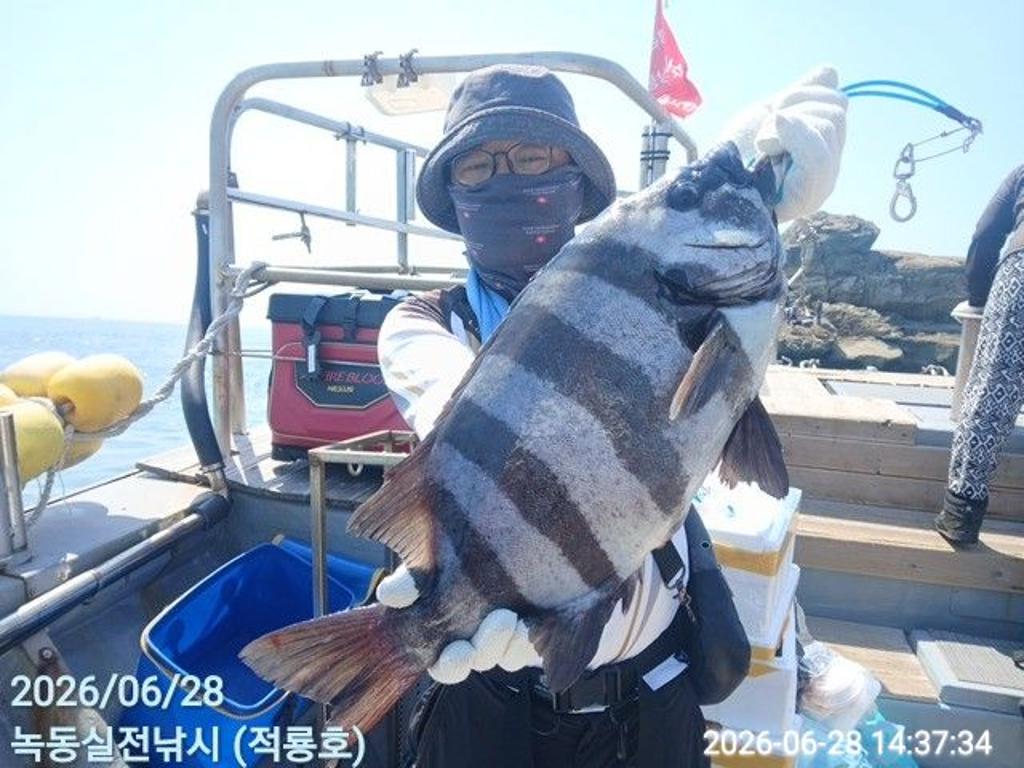 낚시뚜,돌돔,벵에돔,참돔,녹동항,실전낚시,낚시뚜0