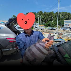 조황, 실전낚시 토요일 돌돔 참돔 감성돔을 대상으로 다녀왔습니다 