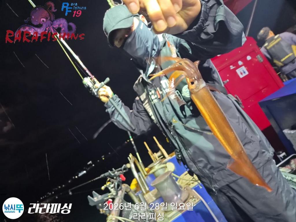 낚시뚜,화살촉오징어,속천항(진해),라라피싱,낚시뚜2
