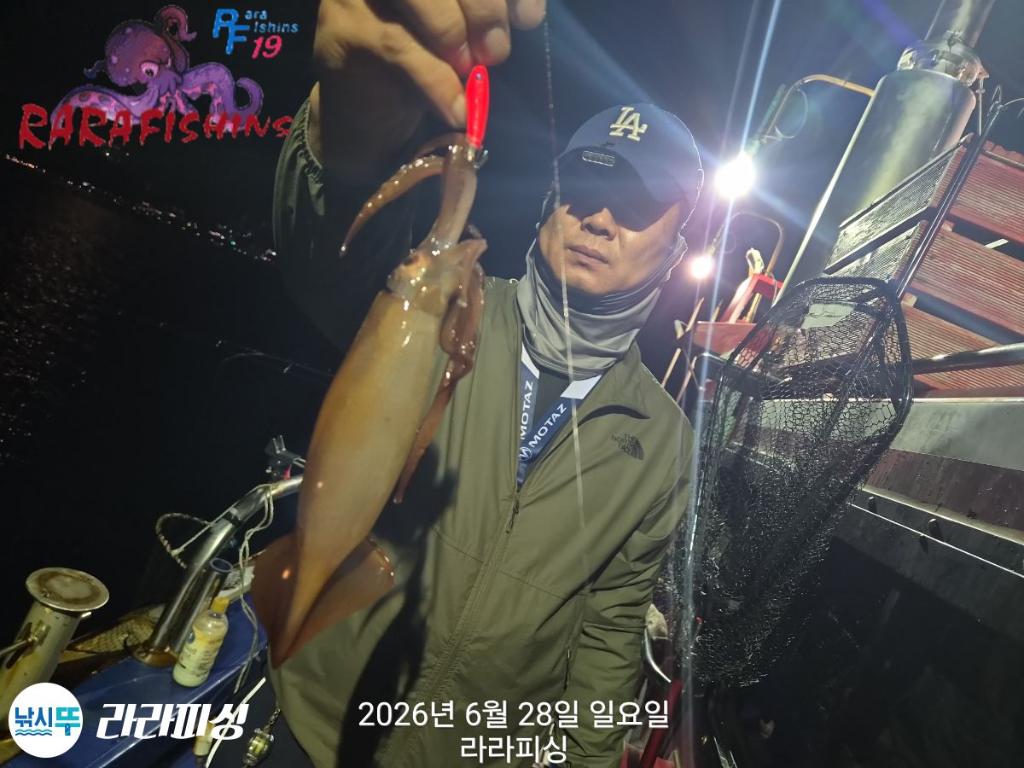 낚시뚜,화살촉오징어,속천항(진해),라라피싱,낚시뚜0