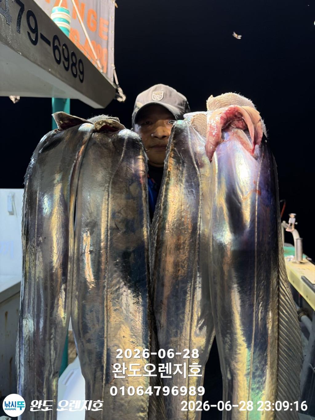 낚시뚜,갈치,완도항,완도 오렌지호,낚시뚜6