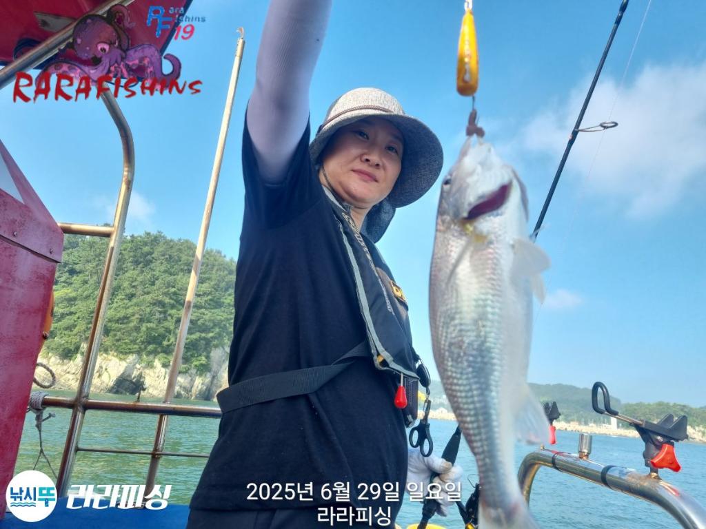낚시뚜,백조기,속천항(진해),라라피싱,낚시뚜9