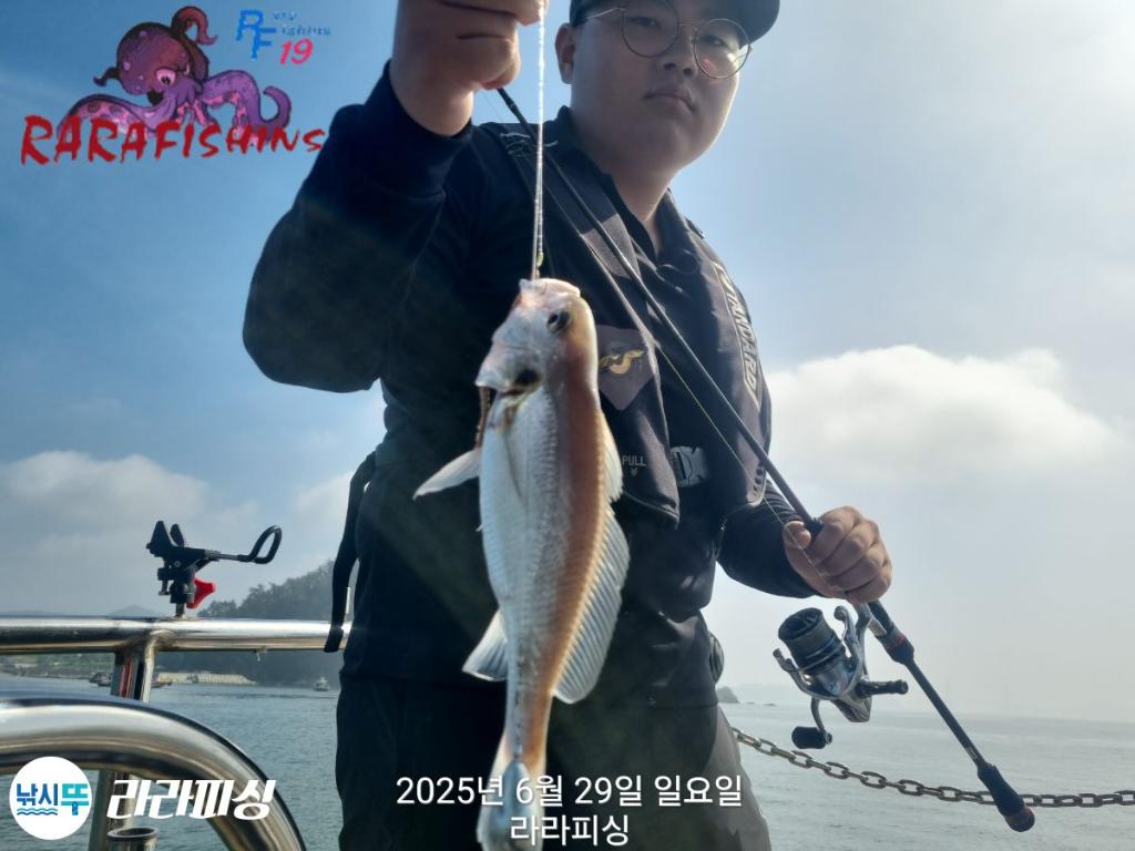 낚시뚜,백조기,속천항(진해),라라피싱,낚시뚜6