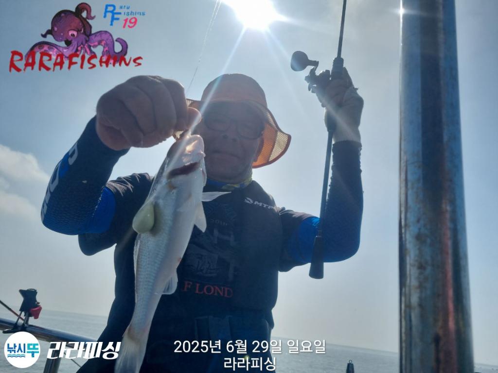 낚시뚜,백조기,속천항(진해),라라피싱,낚시뚜8