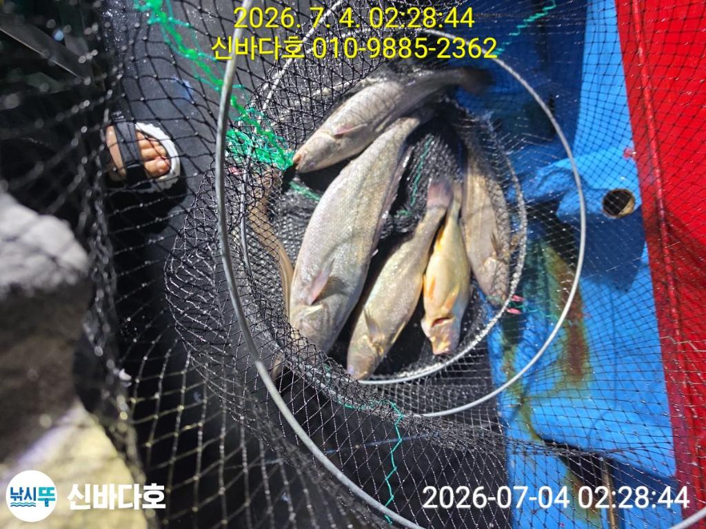 낚시뚜,민어,해남 어란진항,신바다호,낚시뚜1