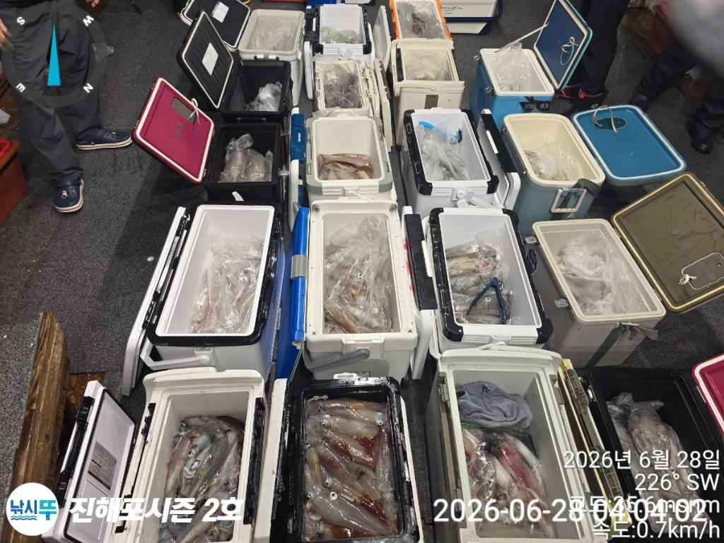 낚시뚜,한치,진해행암항,진해포시즌 2호,낚시뚜3