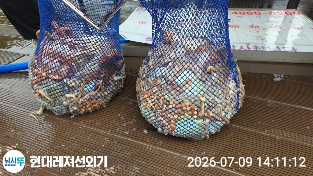 낚시뚜,돌문어,풍화상장마을,통영 현대레져선외기,낚시뚜9