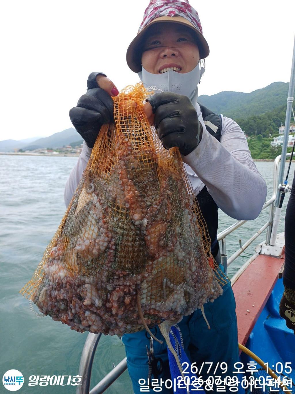 낚시뚜,돌문어,냉천항,일랑이다호,낚시뚜10