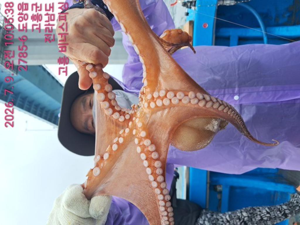 낚시뚜,,녹동항,비너스피싱,낚시뚜5