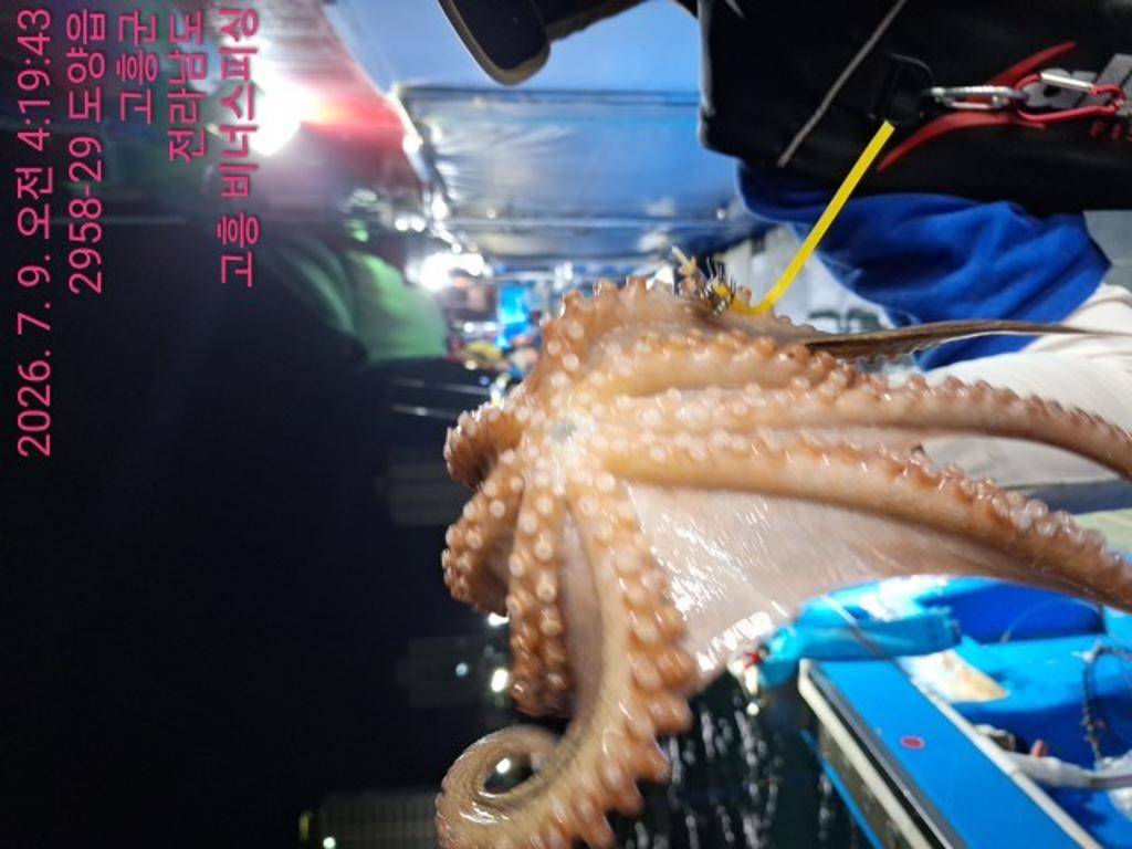낚시뚜,,녹동항,비너스피싱,낚시뚜6