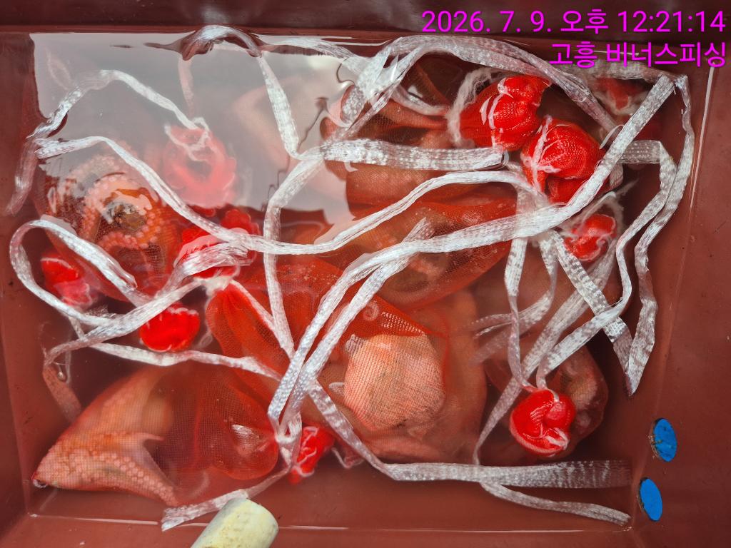 낚시뚜,,녹동항,비너스피싱,낚시뚜19