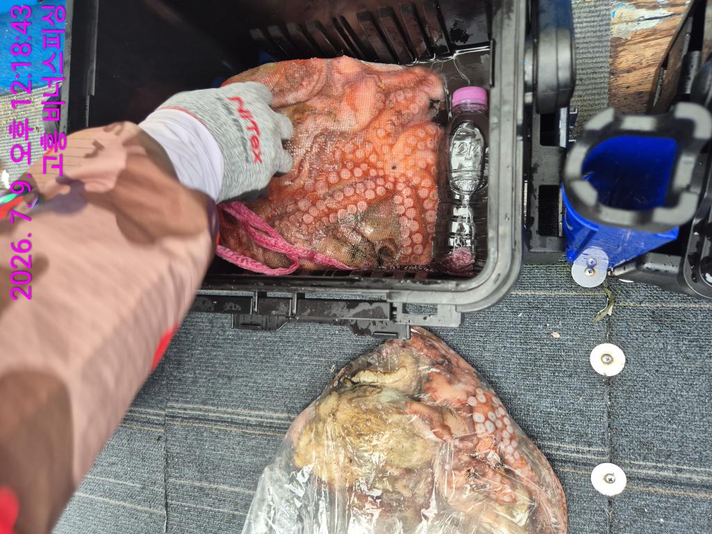 낚시뚜,,녹동항,비너스피싱,낚시뚜23