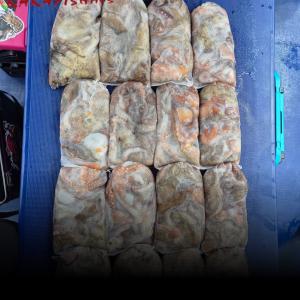 조황, 9일(주간돌문어) 쫀쫀 쫀득쫀득 손맛보러오세요 