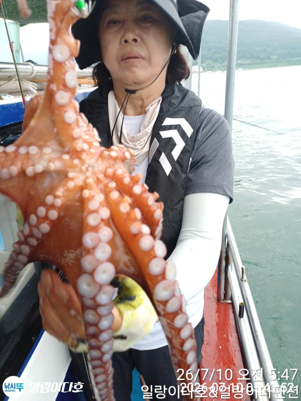 낚시뚜,돌문어,냉천항,일랑이다호,낚시뚜11