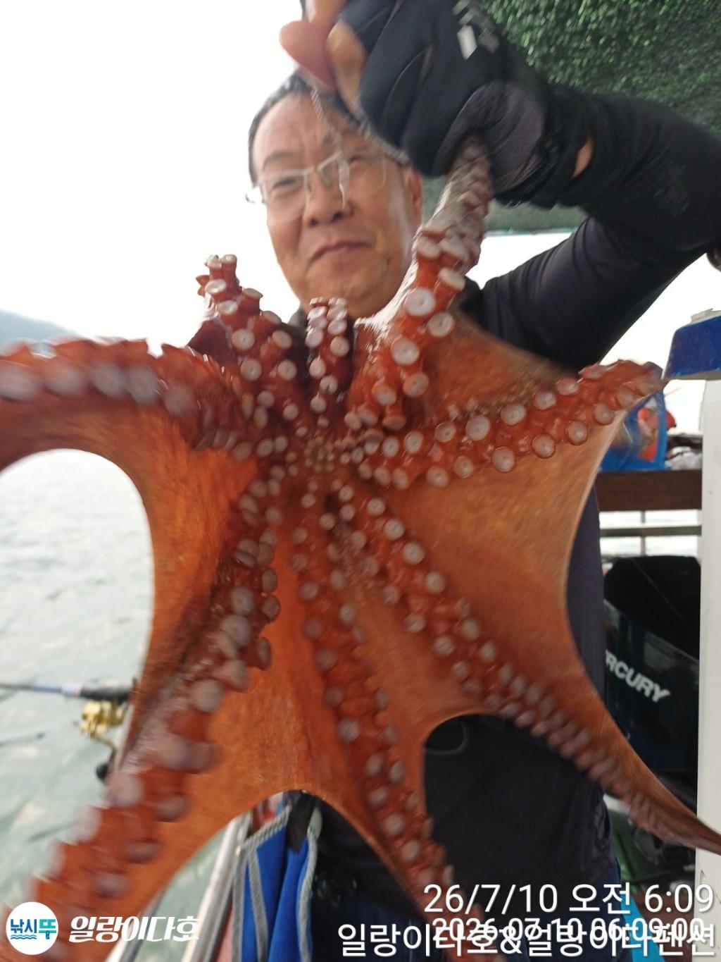 낚시뚜,돌문어,냉천항,일랑이다호,낚시뚜9
