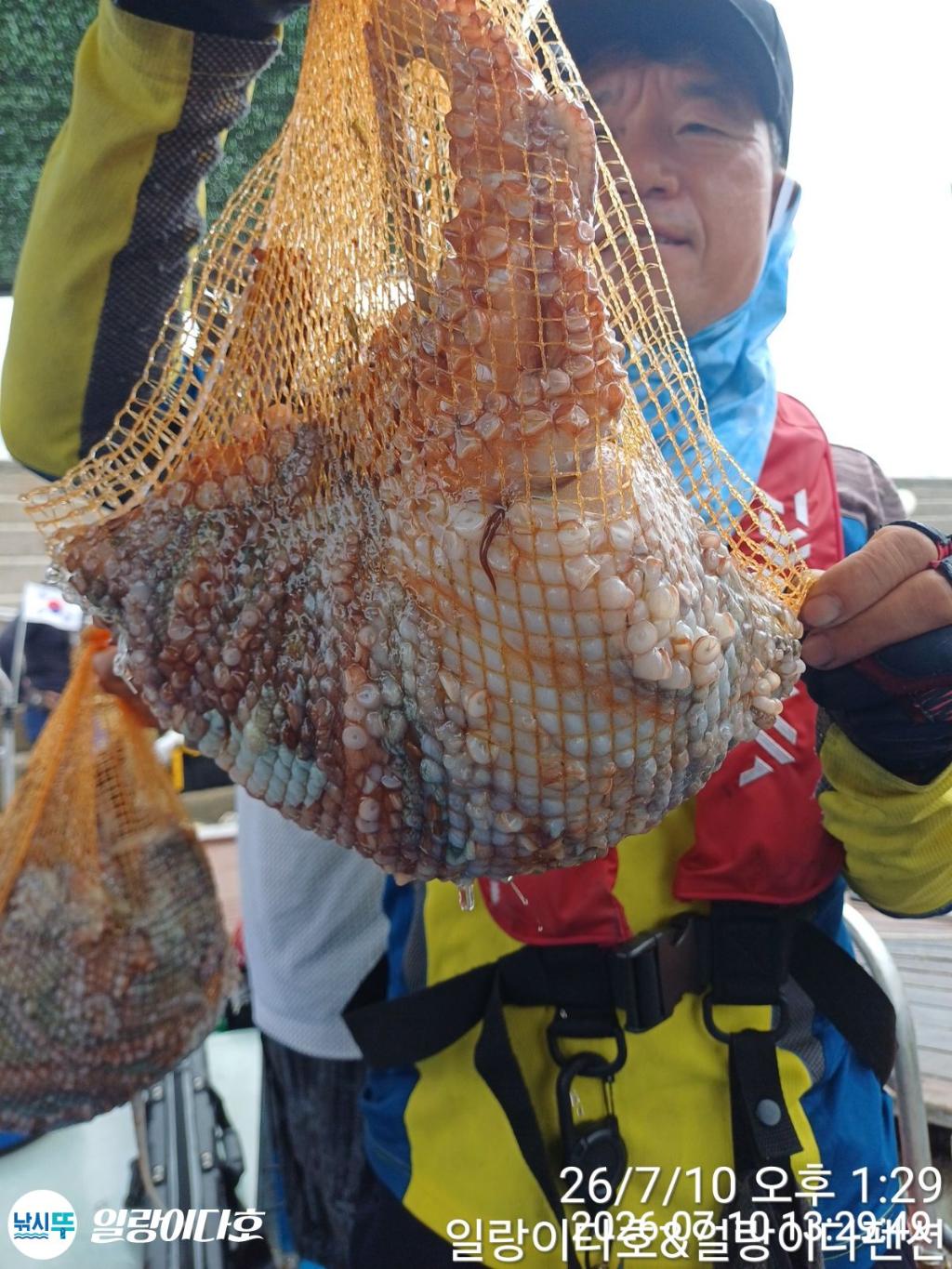 낚시뚜,돌문어,냉천항,일랑이다호,낚시뚜6