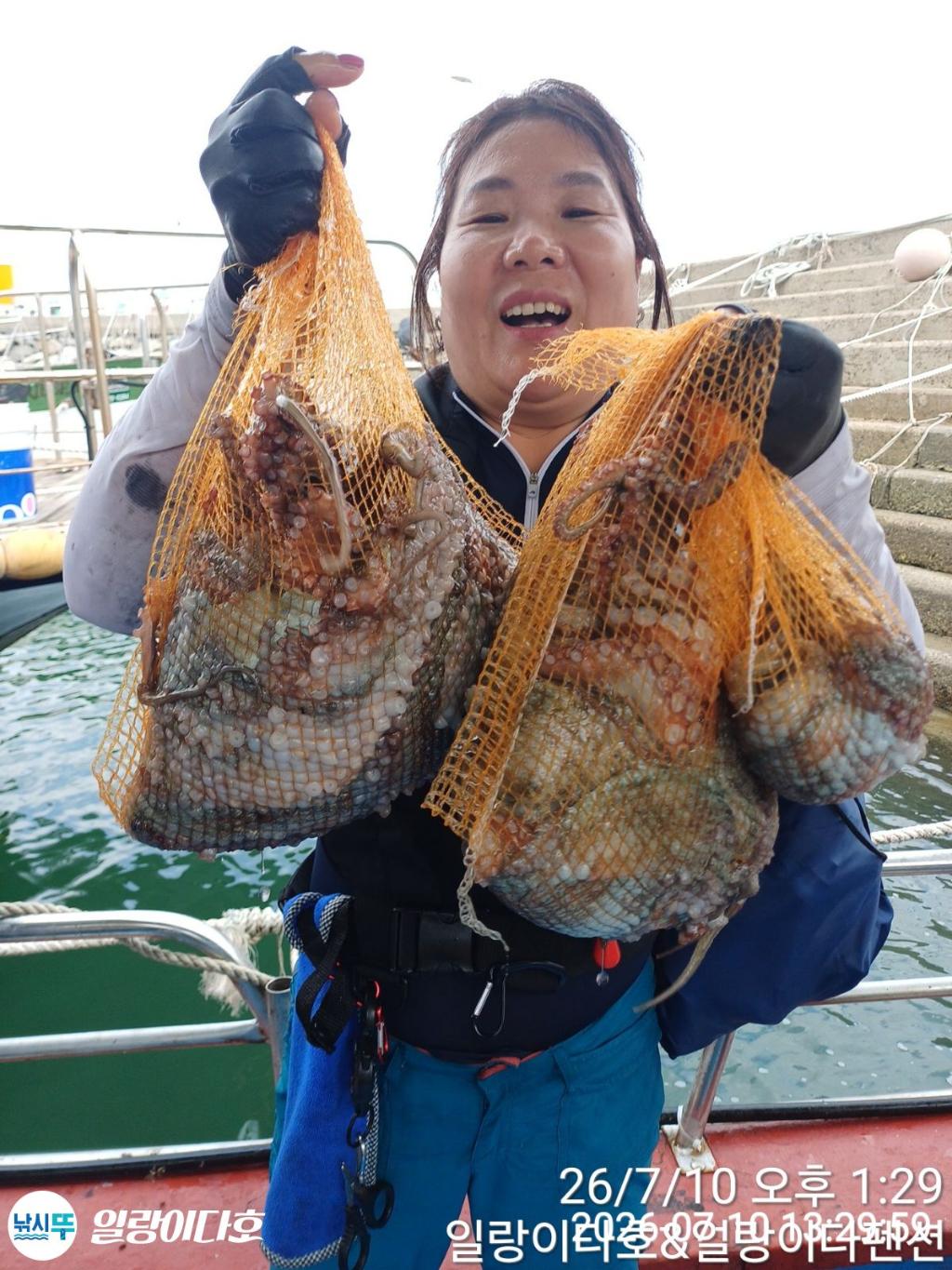 낚시뚜,돌문어,냉천항,일랑이다호,낚시뚜3