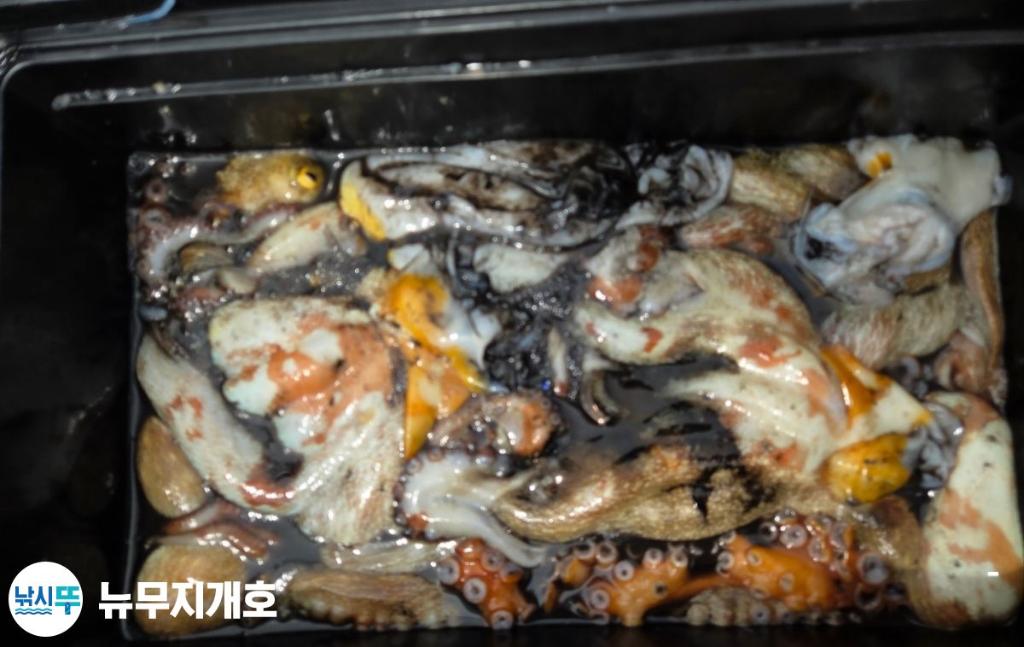 낚시뚜,돌문어,통영영운리항,뉴무지개호,낚시뚜0