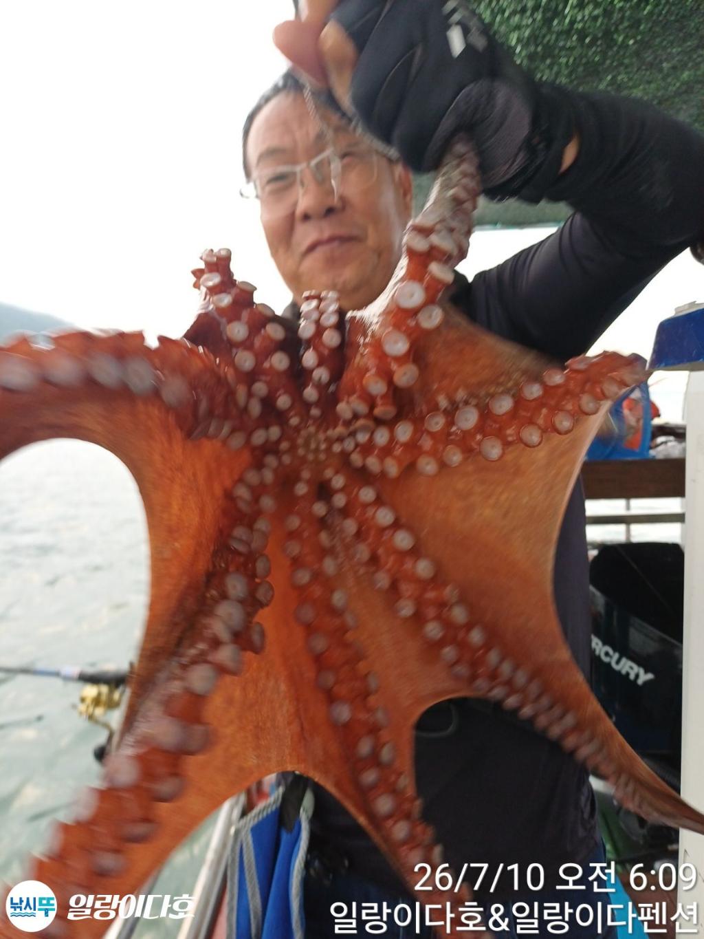 낚시뚜,돌문어,냉천항,일랑이다호,낚시뚜1