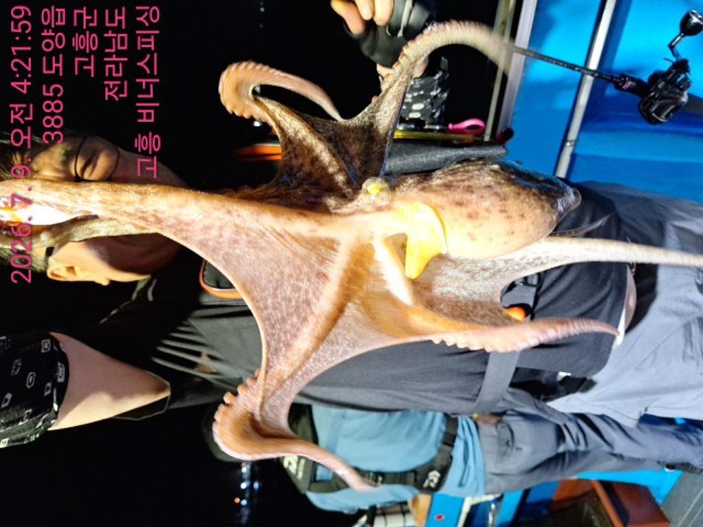 낚시뚜,,녹동항,비너스피싱,낚시뚜8