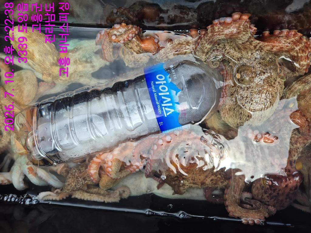 낚시뚜,,녹동항,비너스피싱,낚시뚜14