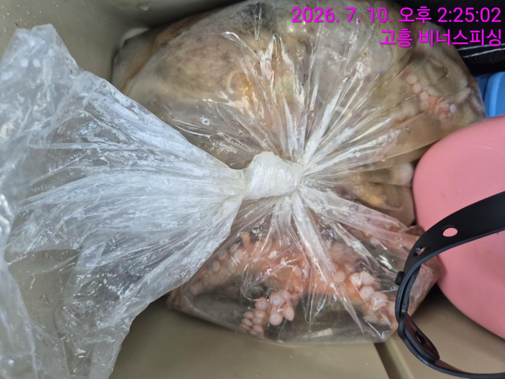 낚시뚜,,녹동항,비너스피싱,낚시뚜18