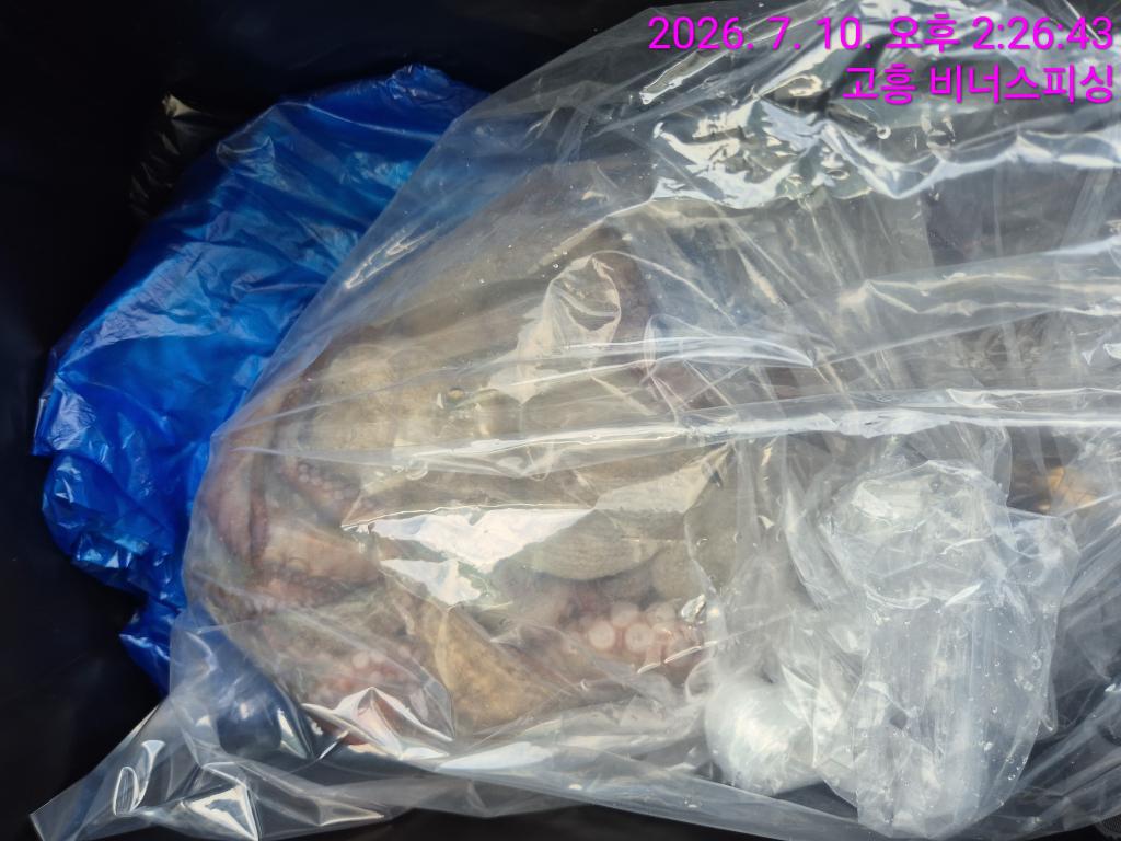 낚시뚜,,녹동항,비너스피싱,낚시뚜20