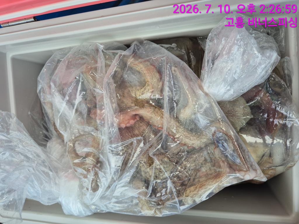 낚시뚜,,녹동항,비너스피싱,낚시뚜23