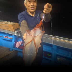 조황, 뉴무지개 대포한치 오늘 정상출조 자리여유