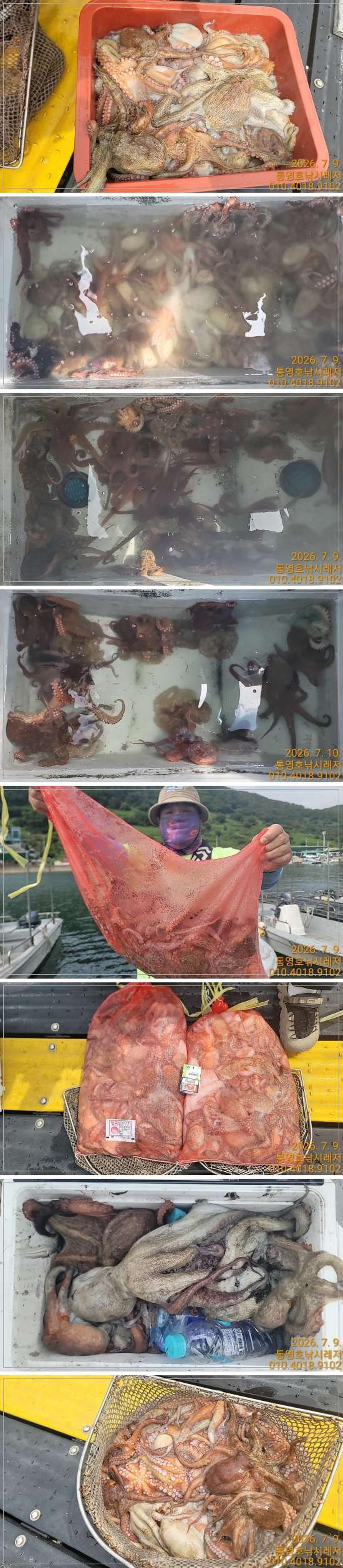 낚시뚜,문어,풍화수월선착장,통영호 낚시레져,낚시뚜0