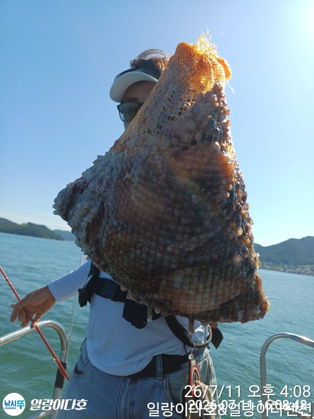 낚시뚜,돌문어,냉천항,일랑이다호,낚시뚜5