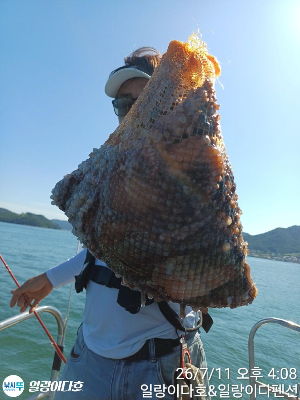 낚시뚜,돌문어,냉천항,일랑이다호,낚시뚜6