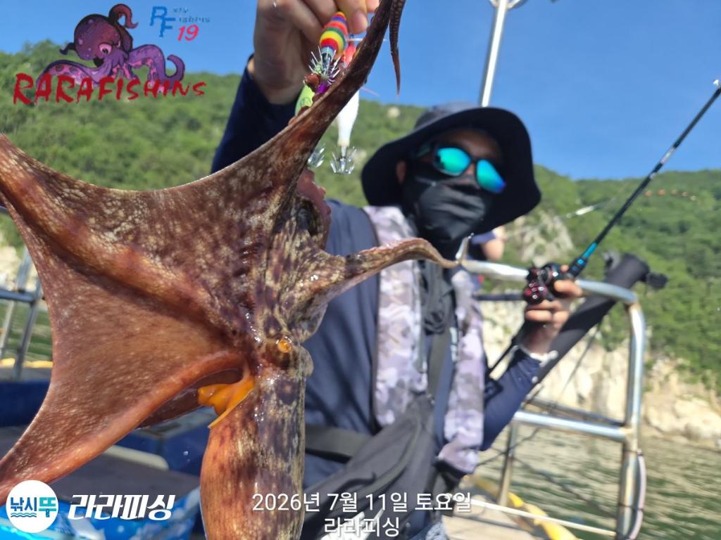 낚시뚜,돌문어,속천항(진해),라라피싱,낚시뚜8