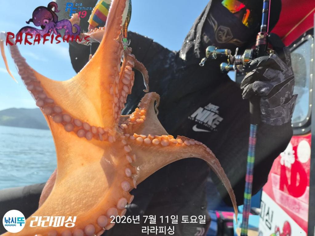 낚시뚜,돌문어,속천항(진해),라라피싱,낚시뚜7