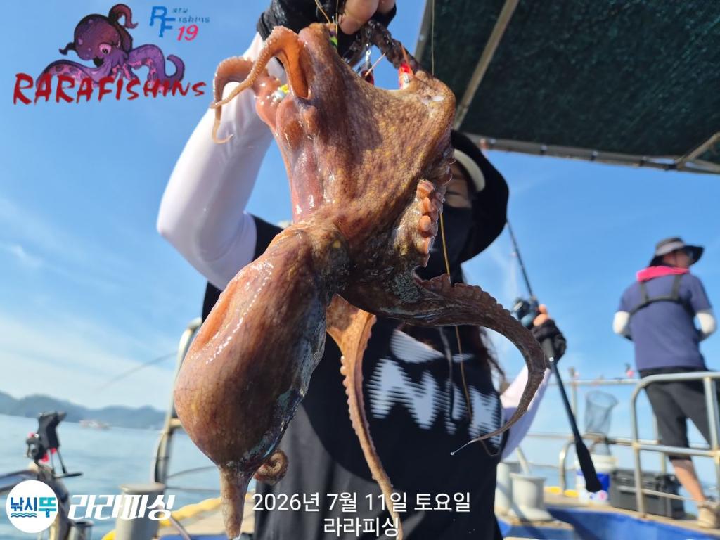 낚시뚜,돌문어,속천항(진해),라라피싱,낚시뚜4