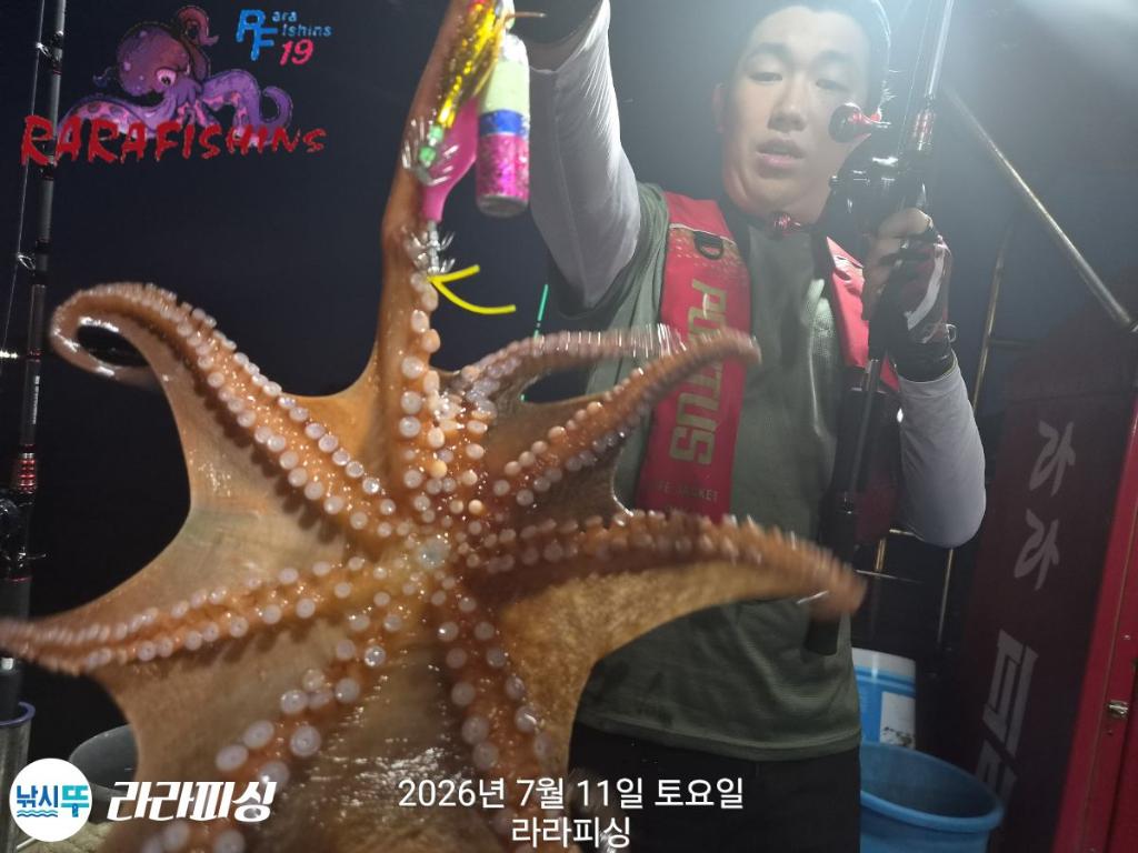 낚시뚜,돌문어,속천항(진해),라라피싱,낚시뚜2