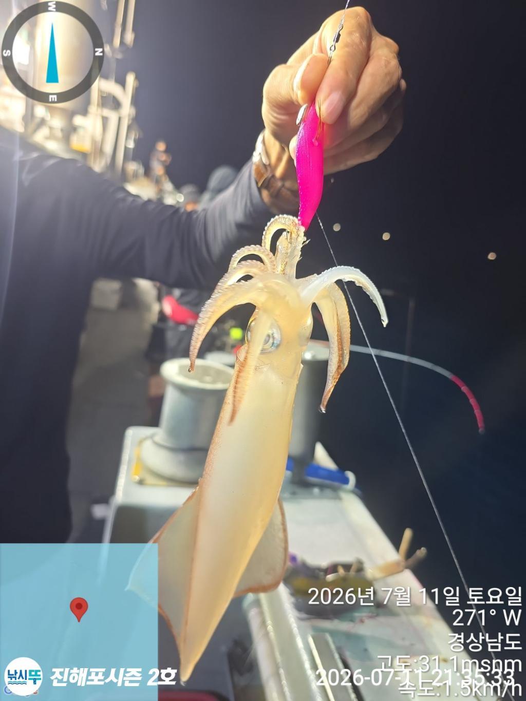 낚시뚜,한치,진해행암항,진해포시즌 2호,낚시뚜23
