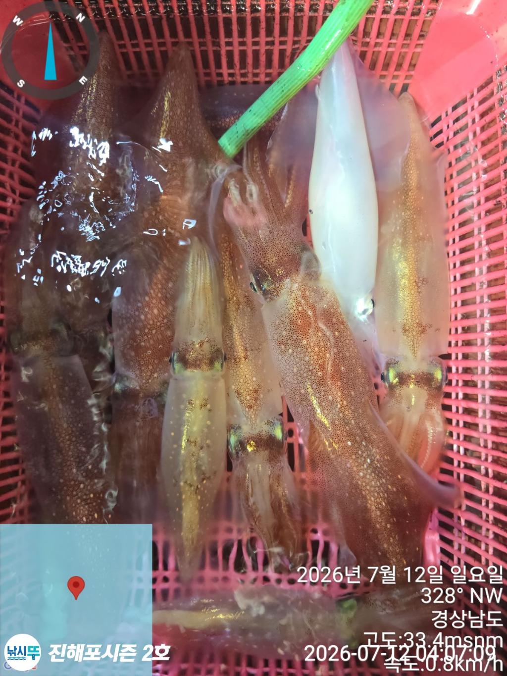 낚시뚜,한치,진해행암항,진해포시즌 2호,낚시뚜22