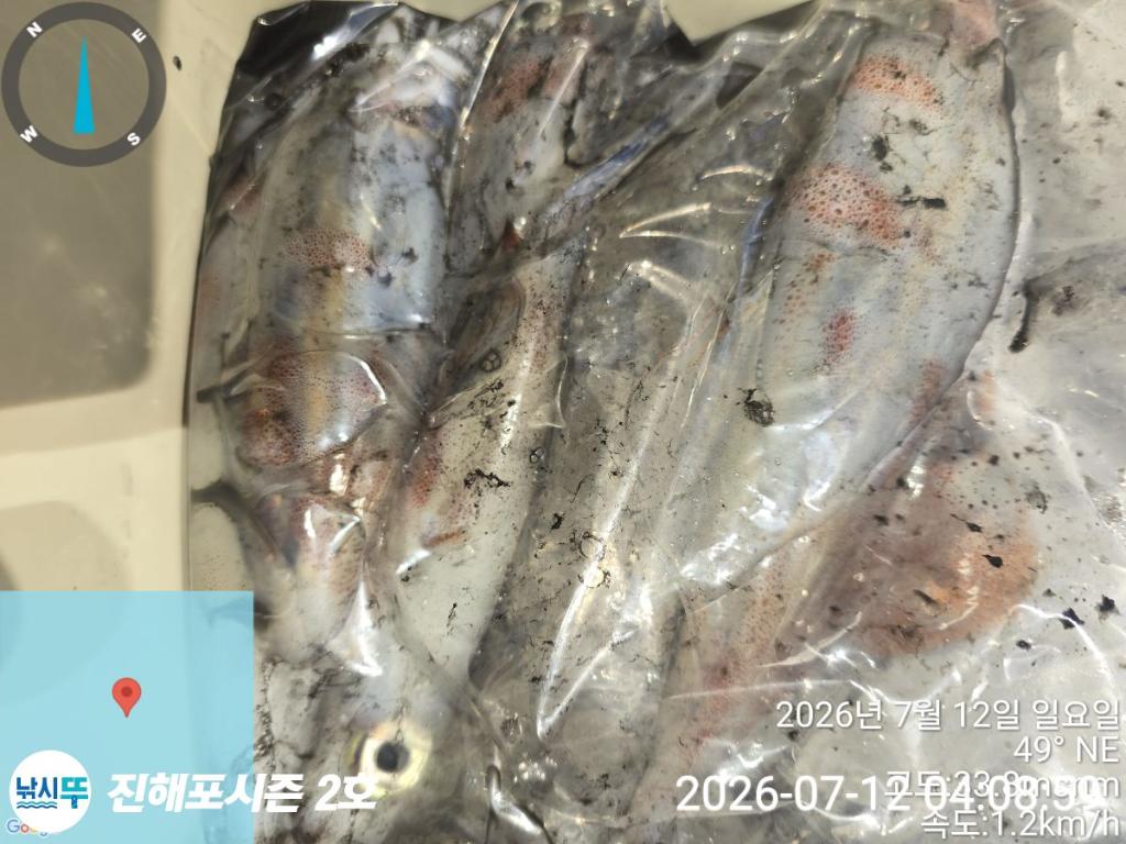 낚시뚜,한치,진해행암항,진해포시즌 2호,낚시뚜16