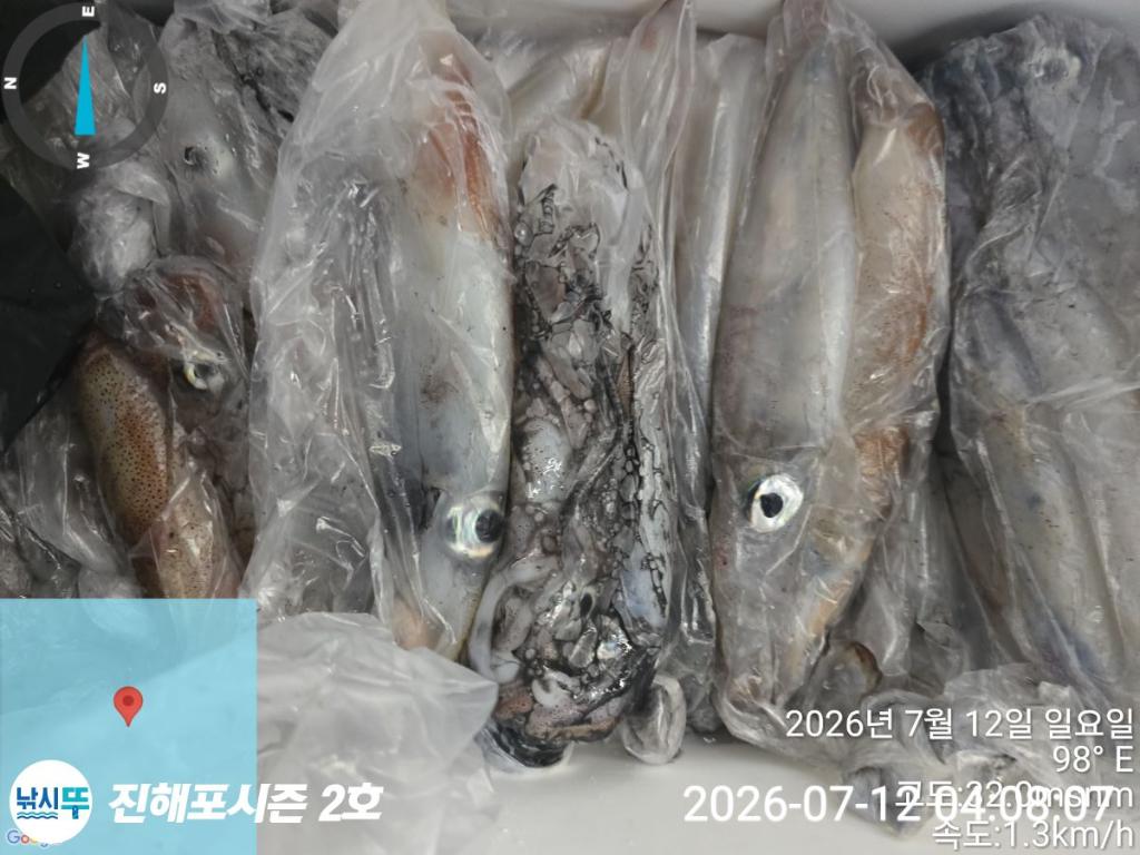 낚시뚜,한치,진해행암항,진해포시즌 2호,낚시뚜14