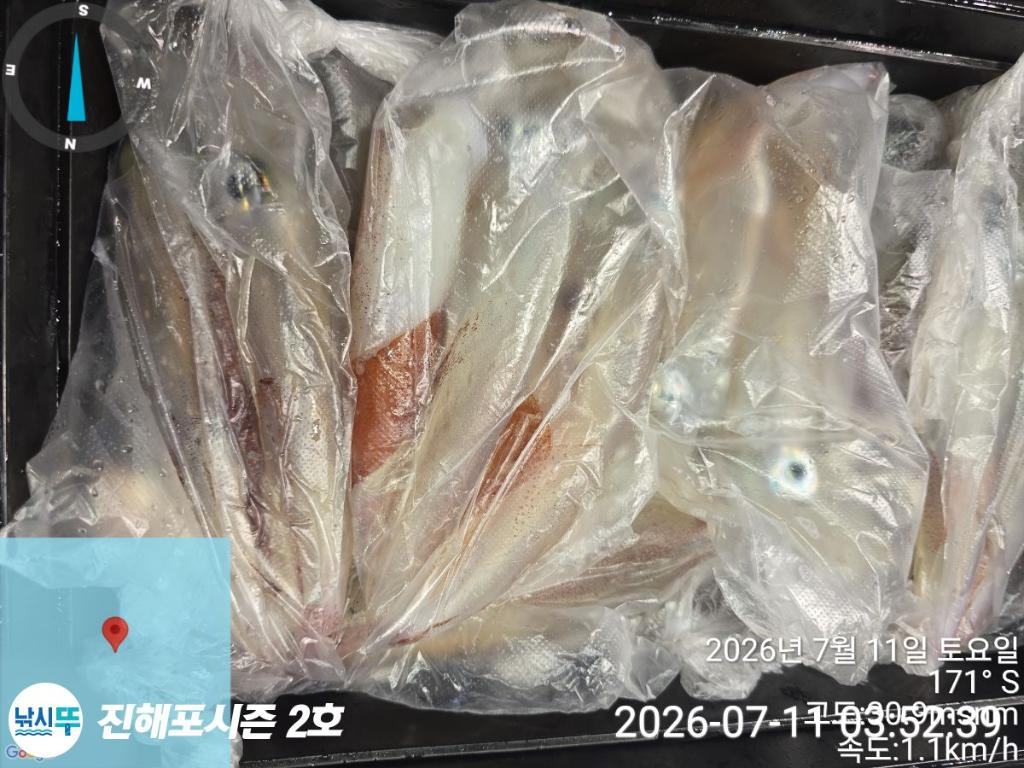 낚시뚜,한치,진해행암항,진해포시즌 2호,낚시뚜9