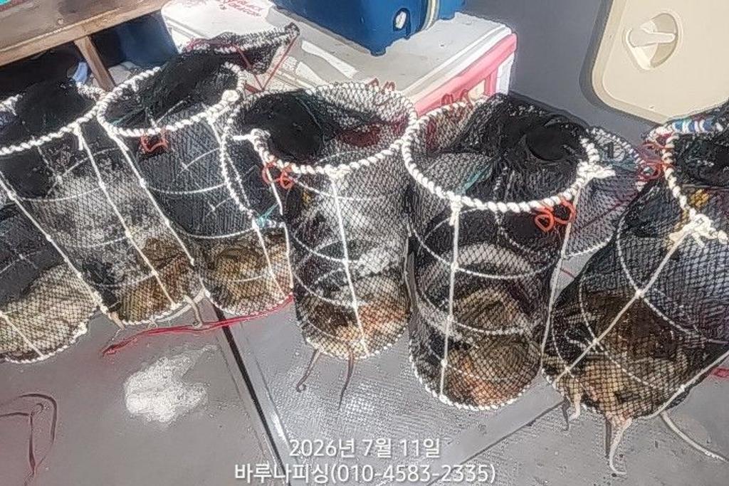 낚시뚜,돌문어,속천항(진해),바루나피싱,낚시뚜1