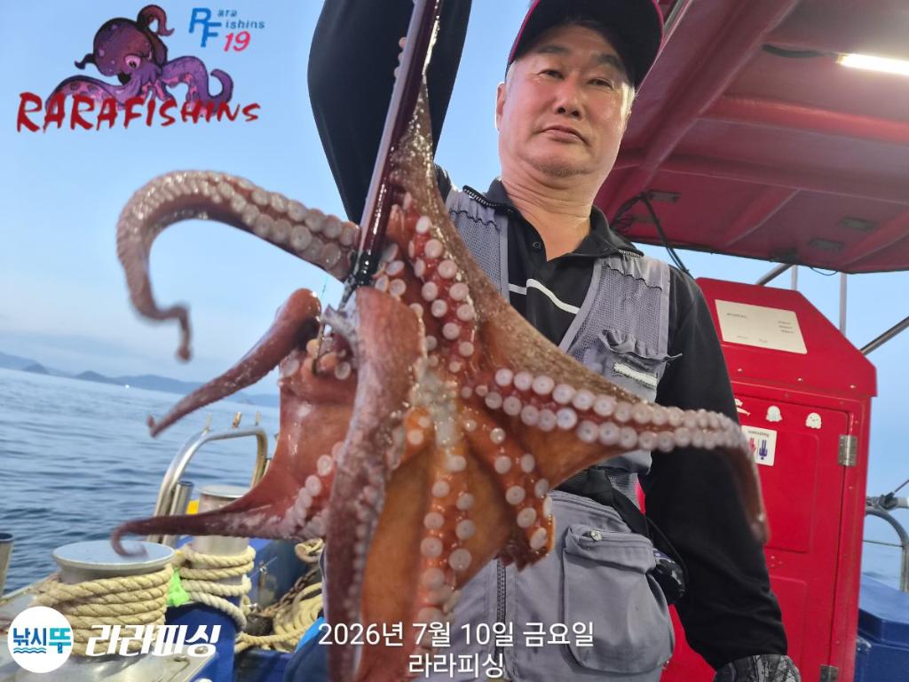 낚시뚜,돌문어,속천항(진해),라라피싱,낚시뚜12