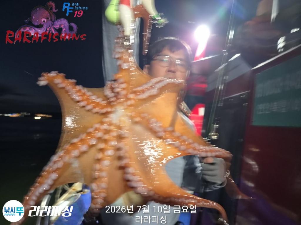 낚시뚜,돌문어,속천항(진해),라라피싱,낚시뚜9