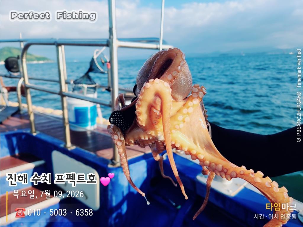 낚시뚜,문어,진해 수치마을 방파제,퍼펙트호,낚시뚜9