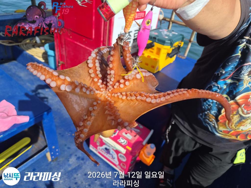 낚시뚜,돌문어,속천항(진해),라라피싱,낚시뚜12
