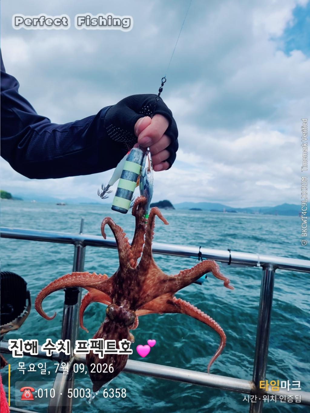 낚시뚜,문어,진해 수치마을 방파제,퍼펙트호,낚시뚜2