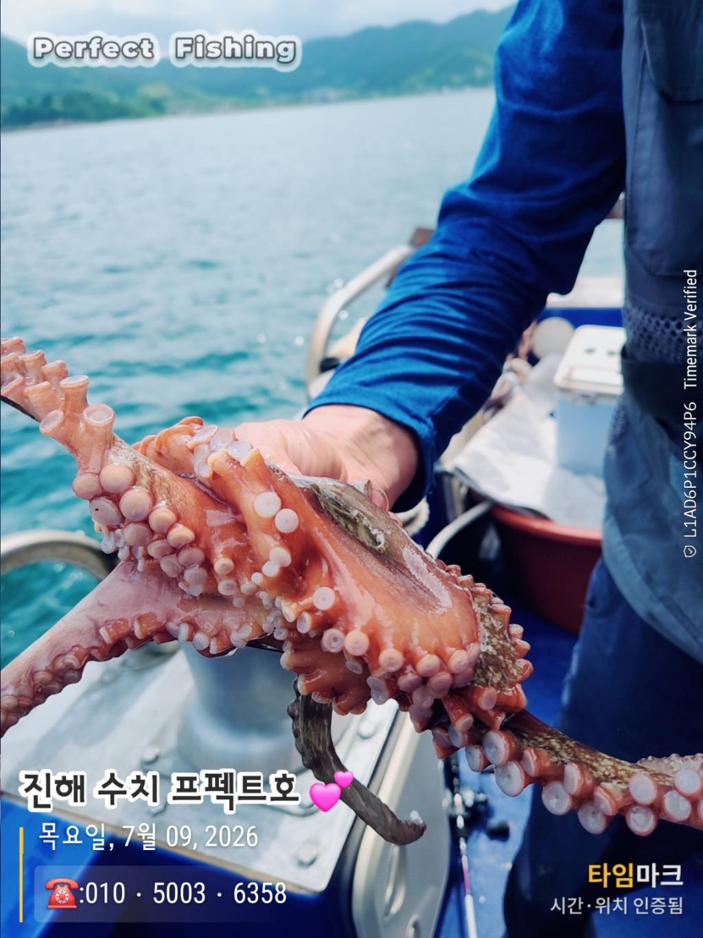 낚시뚜,문어,진해 수치마을 방파제,퍼펙트호,낚시뚜6