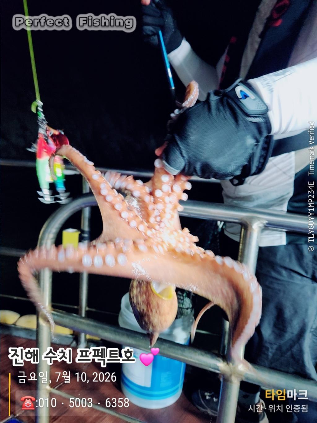 낚시뚜,문어,진해 수치마을 방파제,퍼펙트호,낚시뚜3